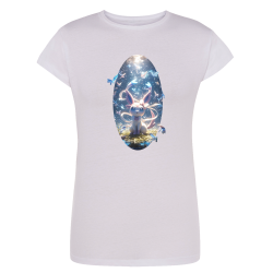 Nymphali Papillon Pokémon