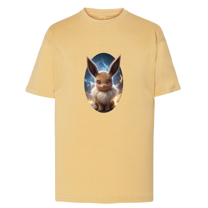 Évoli Classic Pokémon