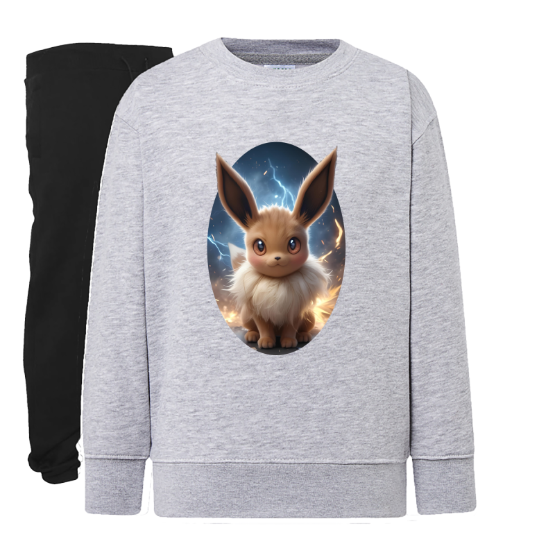 Évoli Classic Pokémon