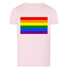 Drapeau LGBTQIA+