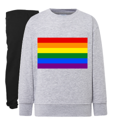 Drapeau LGBTQIA+