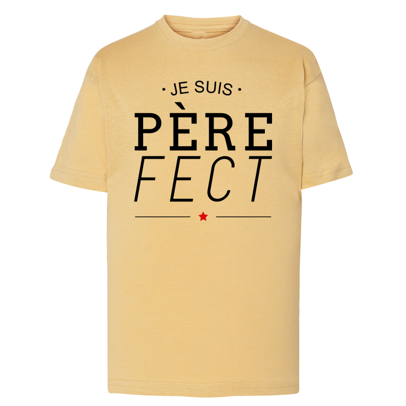 Je suis Père Fect