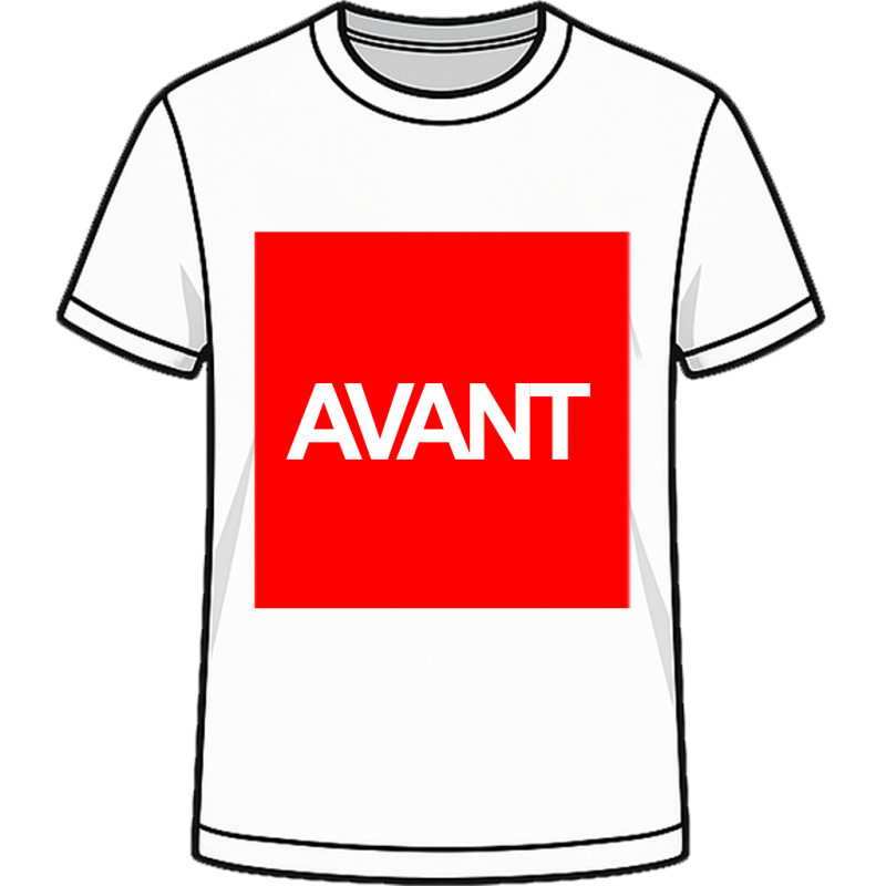 T-shirt DTF Personnalisé Prix dégressif à partir de 10 pièces