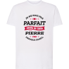 Pas Parfait Pierre