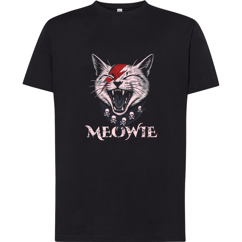 Chat Rock Meowie