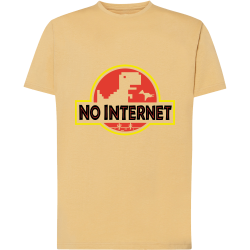 No Internet
