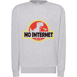 No Internet