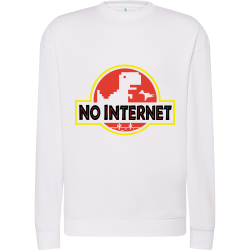 No Internet