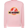 No Internet