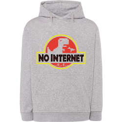No Internet