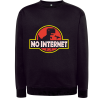No Internet
