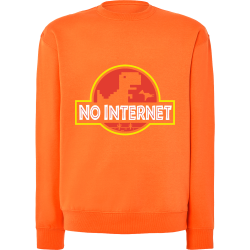 No Internet