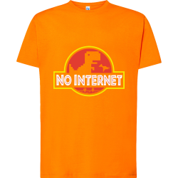 No Internet