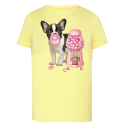 Chien chewing gum bulle