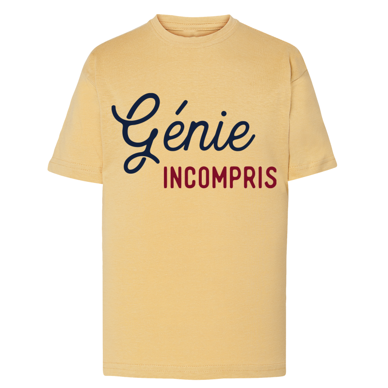 Génie Incompris