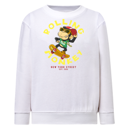 Singe Skate Rolling Monkey