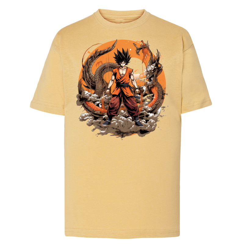 Sangoku Dragon Circle IA 3