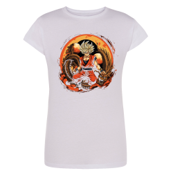 Sangoku Dragon Circle IA 5