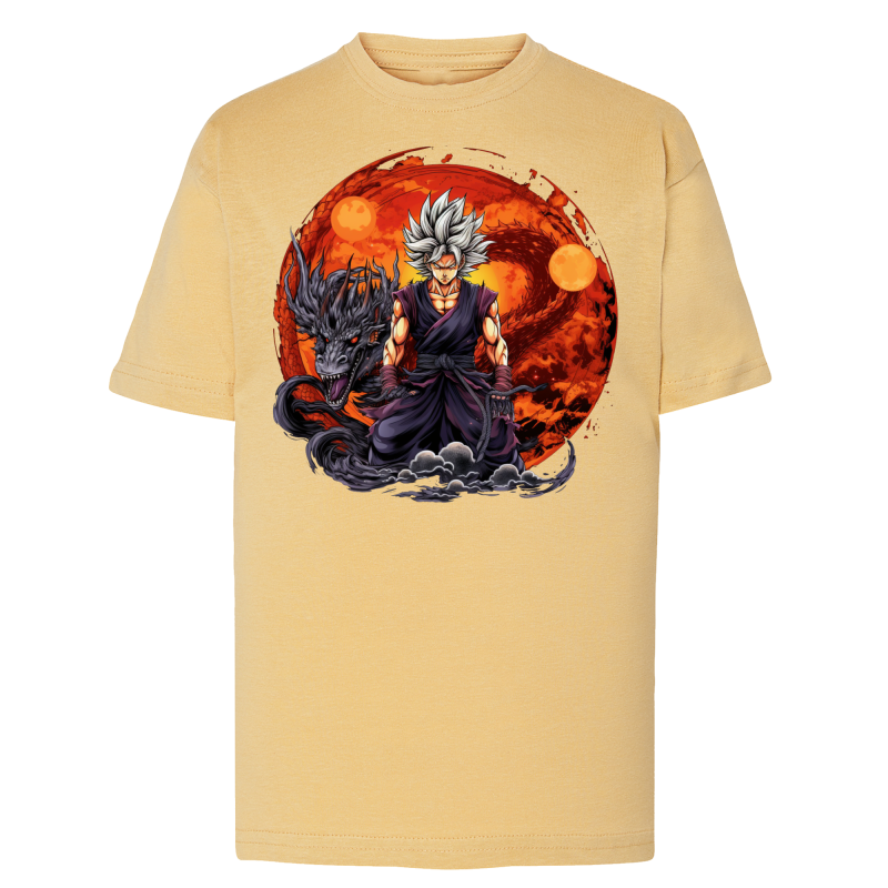 Sangoku Dragon Feu IA 11