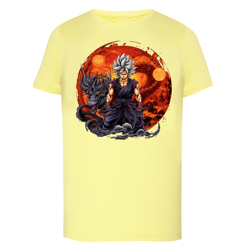 Sangoku Dragon Feu IA 11