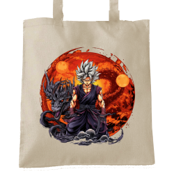 Sangoku Dragon Feu IA 11