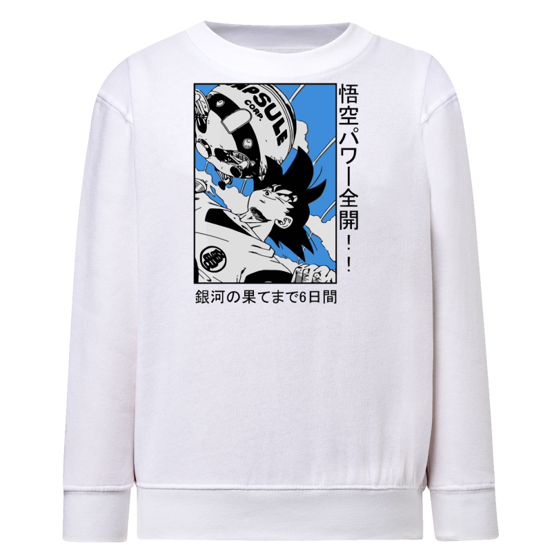 Manga DBZ Capsule