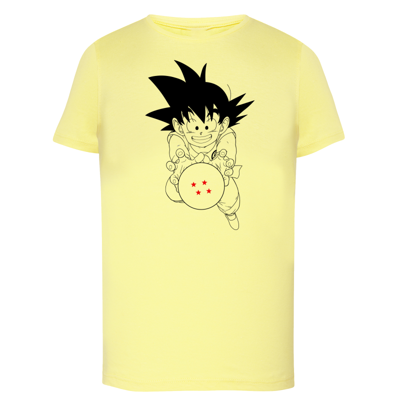 Manga DBZ Boule
