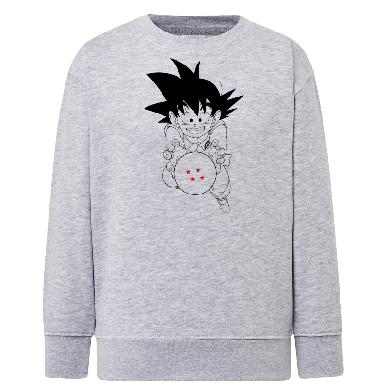 Manga DBZ Boule