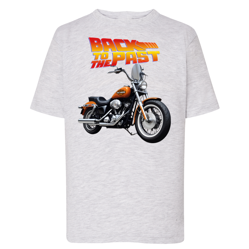 Back To The Past Harley