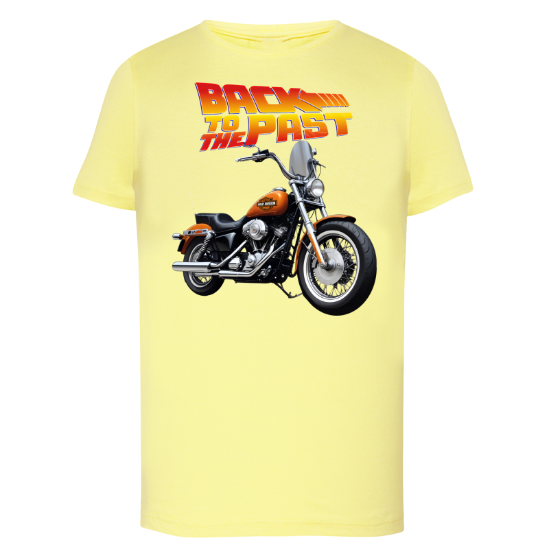 Back To The Past Harley